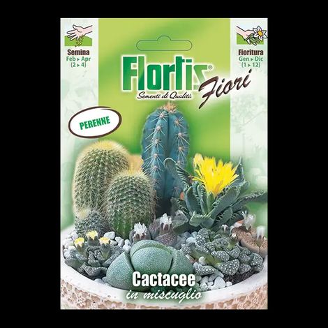 FLORTIS Cactacee mix
