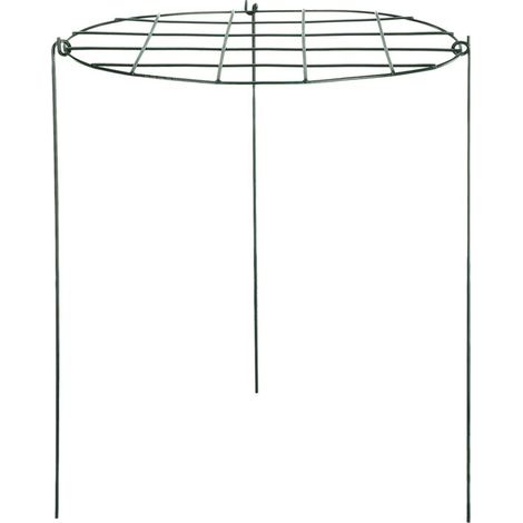 Support de Plantes en Fer pour Fraisiers, Tuteur Métallique en Grille Jardin (1/5)