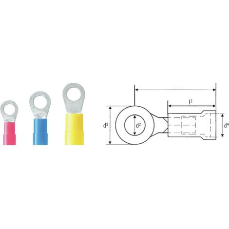 Weidmüller 2792000000 Cosse à oeillet Section max.=1.5 mm² partiellement isolé rouge 1 pc(s) S266782