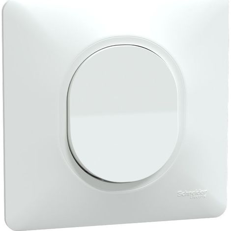 Schneider Electric – Interrupteur va et vient 10AX S321204 – Blanc avec plaque – Griffes montées – Tension 250V CA – Indice IP21 (1/5)