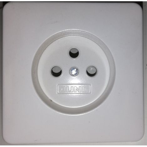Jung CD521FKIWWPL1 Child safety hubcap 2P+T socket