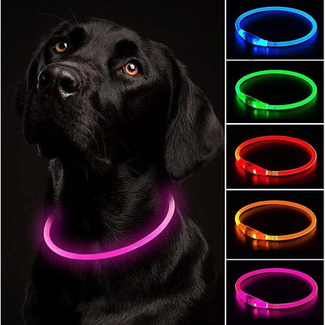 Verstellbares, wasserdichtes und per USB aufladbares LED-Hundehalsband – 3 Modi, geeignet für kleine, mittlere und große Hunde (1/5)