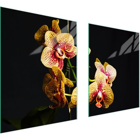 PLACA PROTECTORA DE VIDRIO PARA ESTUFA 85x52 ORQUÍDEA (1/5)