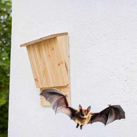 Bat box in legno confezione da 2 conservazione della natura (1/5)