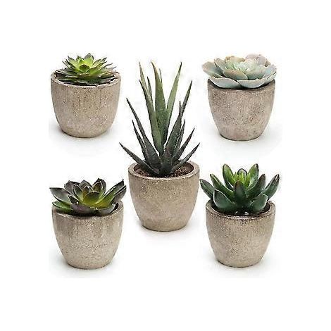 Ensemble mixte de 5 plantes succulentes artificielles avec pots (1/3)