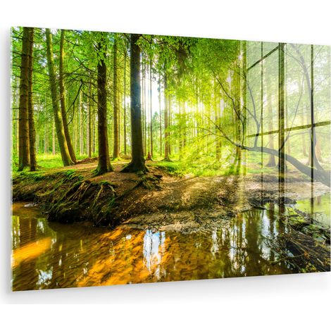 CUADRO DE METACRILATO Bosque - Paisaje - Agua - Árboles - Sol - Verde - Naturaleza Pinturas 60x40 (1/5)