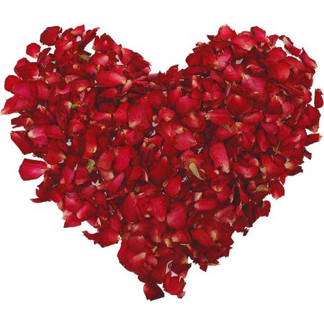 Getrocknete Rosenblätter, 100 Gramm, natürlich, biologisch abbaubar, rote Rosenblätter für Fußbad, Spa, Konfetti, Hochzeiten (1/5)