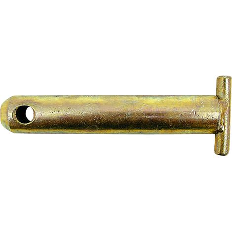 Broche de connecteur supérieure cat. 1 diamètre 19 mm, longueur 105 mm avec poignée en T (1/2)