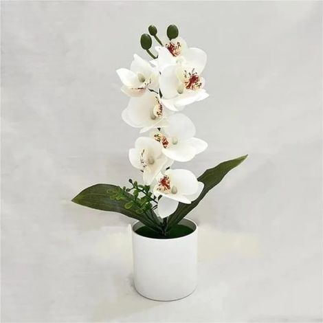 Künstliche Phalaenopsis-Orchidee Bonsai weiß (1/5)