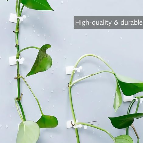 Filiyano-30 supports muraux pour plantes, clips de fixation auto-adhésifs, supports pour plantes grimpantes d'intérieur, pour le jardinage et la (1/4)