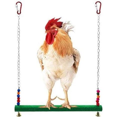 Balançoire pour poules et perroquets – Échelle ludique en bois naturel avec cordes résistantes – Idéale pour volières extérieures et intérieures