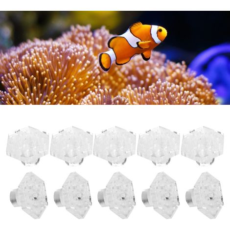 Supports Hexagonaux pour Coraux en Fractures Boutons de Base Transparent en Acrylique Accessoires d'Aquarium 10 Pièces par Paquet - AUTRES (1/5)