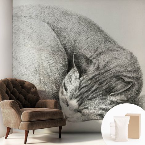 Fototapete - Tapete Vliestapete mit Kleber - Wandtapete Moderne Wandbild Schlafzimmer Wohnzimmer Zusammengerollte Katze 250x250 cm