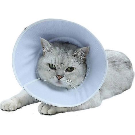 Collier de convalescence souple pour chat, cône ajustable pour chien et chat, collier de protection post-opératoire pour chien et chiot (1 pièce, bleu) (1/5)