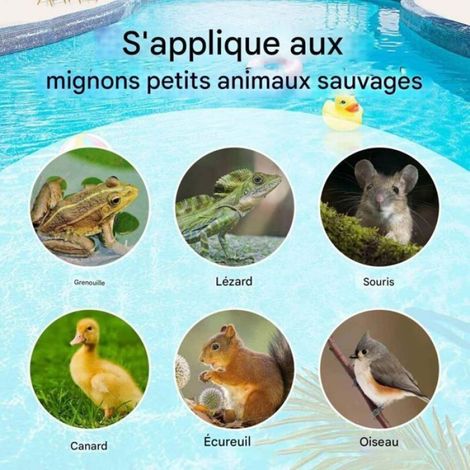 Grenouilles de piscine, rampe de sauvetage polyvalente pour animaux aquatiques, échelle polyvalente avec filets de sécurité pour (1/4)