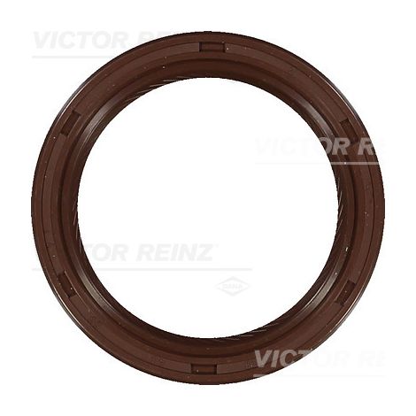 BAGUE D'ÉTANCHÉITÉ 811038200 REINZ