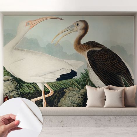 Tapete Selbstklebend - abwaschbar - Tapete mit Motiv - trendige Wanddeko - elegant Fototapete Vogelpaar 208x146 cm (1/5)