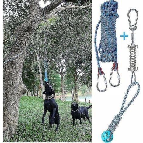 BUNTHAUS Ensemble de jouets de barre à ressort pour chien exercice suspendu en plein air corde de coton jouet de dent de chien