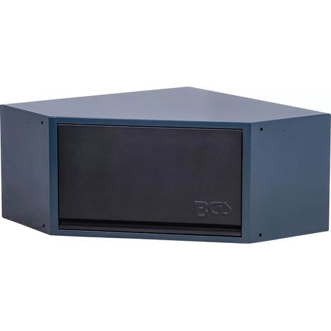 Armoire murale BGS 80206 acier 30 kg capacité (1/5)