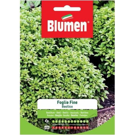 Semi Blumen basilico foglia fine (1/2)