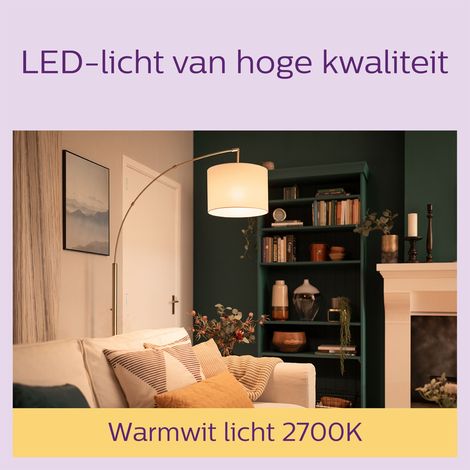 Philips LED E27 Bombilla Estándar (A60) Mate 100W No regulable Luz blanca cálida - 6 unidades (1/4)