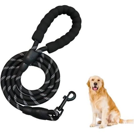 Laisse Chien - 3M - 3m - Nylon Résistant - Poignée Rembourrée - Réfléchissante (1/5)