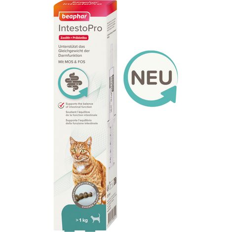 Beaphar IntestoPro Paste für Katzen - Unterstützt das Gleichgewicht der Darmfunktion - 20 ml