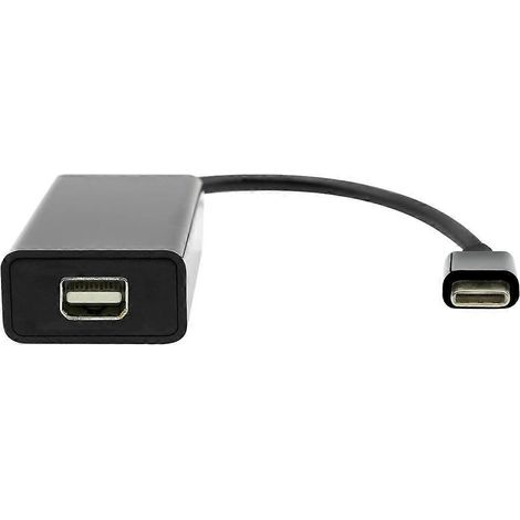 Adaptateur USB-C vers Mini DP 20 cm Noir (1/2)