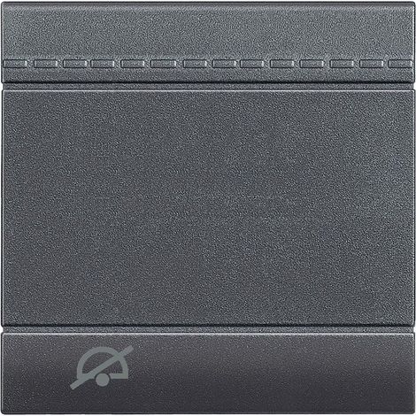Manette Livinglight avec symbole Ne Pas Déranger 2 modules anthracite BTICINO L4915M2DD
