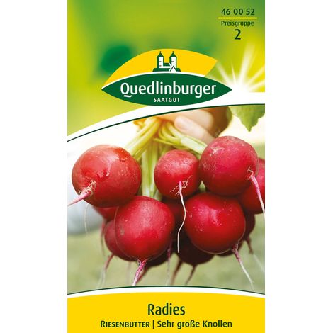 Quedlinburger Saatgut – Radis Riesenbutter – Graines de légumes, très gros radis rond rouge clair, jusqu'à 8 cm de diamètre (1/2)