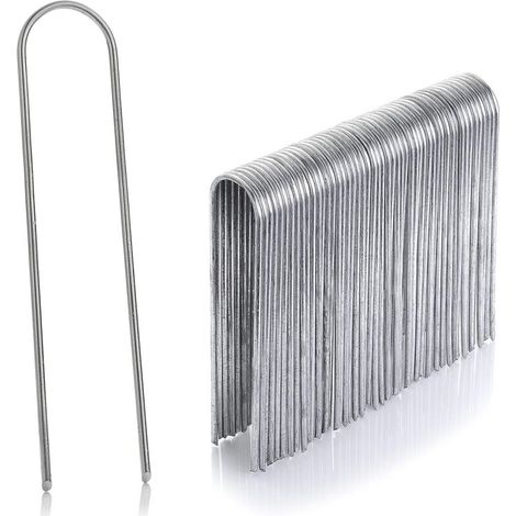 Lot de 50 piquets en acier inoxydable galvanisé, hauteur 150 mm, diamètre 3 mm