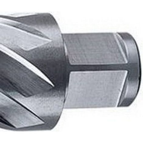 DeWalt Fraise pour colonne magnetique circulaire Ø 20 mm - DT8403-XJ Fresa anular para columna magnética Ø 20mm The brand in which professionals trust (1/5)