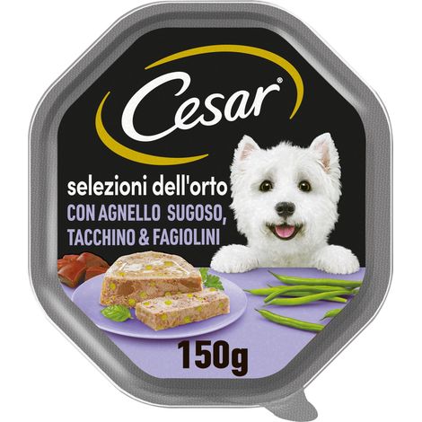 Cesar Selezione dell'Orto Cibo Umido per Cane, con Agnello succoso, Tacchino e Fagioli in Gelatina 150 g - 14 Vaschette (1/5)
