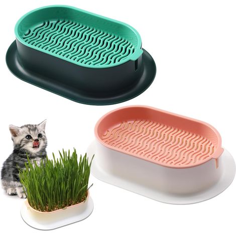 Catnip Growing Kit, Catnip Planter (1/5)