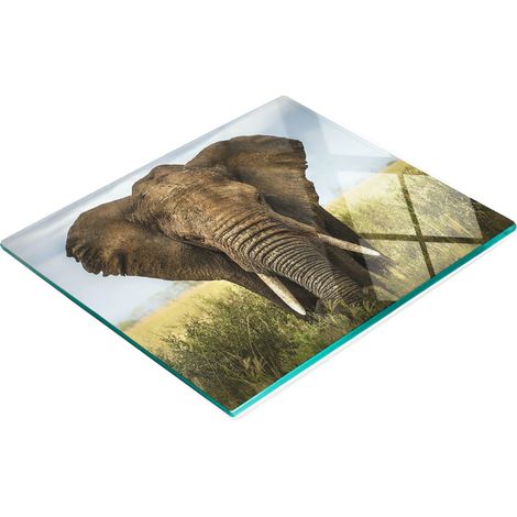 Tablero decorativo multifuncional de vidrio templado con dise帽o de elefantes en la sabana, 60x52 cm.