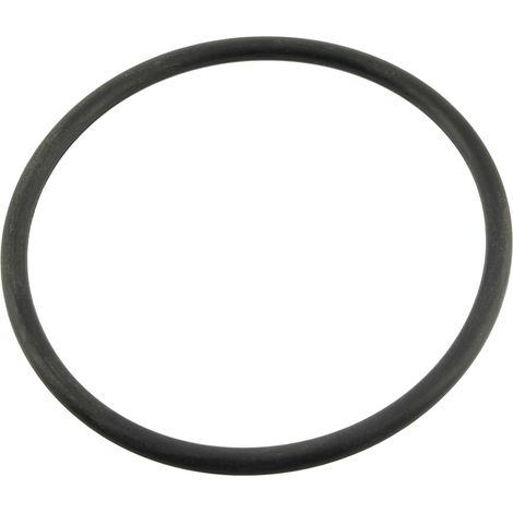 O-ring elektrode ei w151281 r0738500 - poolausrüstung (1/5)