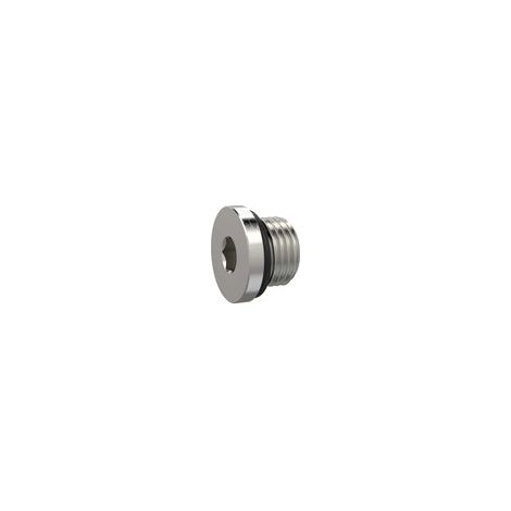 Riegler Verschlussschraube, Innensechskant 2,5 mm, M5, NBR O-Ring, MSN (1/2)