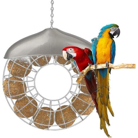 Distributeur de nourriture suspendu pour oiseaux sauvages (1/4)