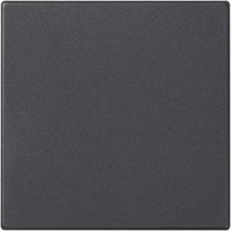 Plaque simple aveugle en graphite SIMON 50010800-038