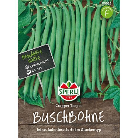 Sperli Buschbohnen Cropper Teepee - Gemüsesamen (1/4)