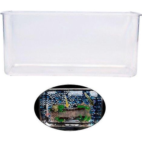 Habitat transparent pour poissons, salamandres et plantes aquatiques