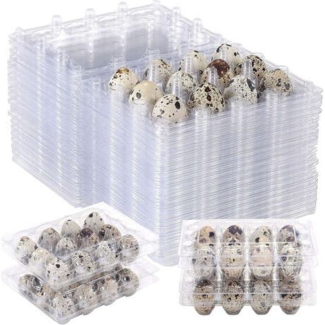 100 Stück wiederverwendbare Wachteleierboxen mit 12 Fächern, transparente Aufbewahrungsboxen für den Kühlschrank, Mini-Eierspender mit Deckel für den Kühlschrank