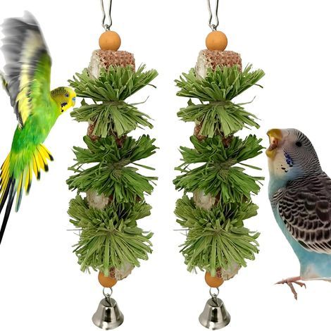 Lot de 2 jouets pour oiseaux, jouets à mâcher pour perroquet, calopsitte, comprend des cloches d'épis de maïs naturelles, jouet à suspendre pour perruches, perruches, conures, pinsons, C (1/5)