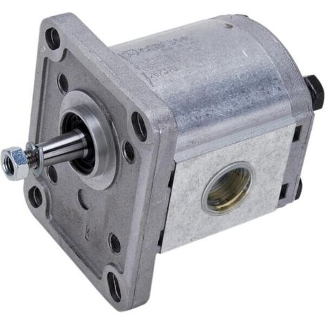 Zahnradpumpe Polaris 10 CASAPPA PLP106D081E1G