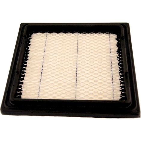 Filtre à air TECUMSEH 37360