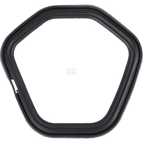 Kopfdeckeldichtung LONCIN 3808404250001 (1/2)