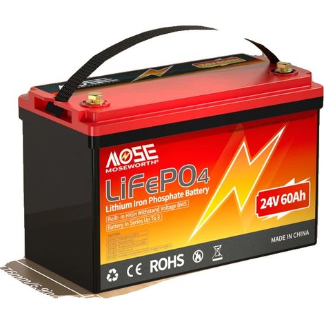 Batería LiFePO4, versátil para diversas aplicaciones, diseño ligero, 24 V 60 Ah (1/2)
