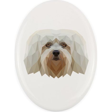 Havanese - un plato geométrico con foto e inscripción de Art-Dog (1/4)