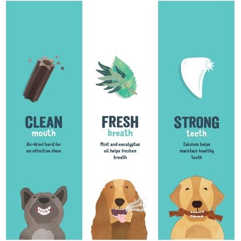 Edgard & Cooper Dental for Dogs Strawberry & Mint Large 7 sticks - 267343 (1/3)