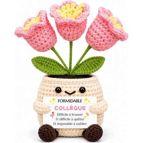 Pot De Fleurs Au Crochet - Cadeau Collegue De Travail Femme Original pour Anniversaire, Idée Depart Ou Retraite avec Message, Présent pour Elle, Déco Bureau Unique, Noël Et Fête (1/5)